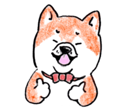 SHIBAINU&PUG greeting sticker sticker #8954055