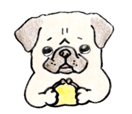 SHIBAINU&PUG greeting sticker sticker #8954061