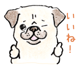 SHIBAINU&PUG greeting sticker sticker #8954063