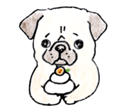 SHIBAINU&PUG greeting sticker sticker #8954074