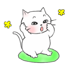 A white cat "kuu"