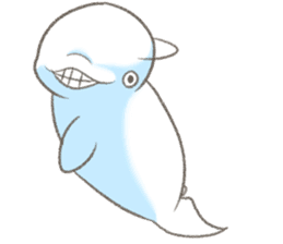 Shiro-tan: the Mild Beluga sticker #8954526