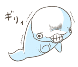 Shiro-tan: the Mild Beluga sticker #8954557