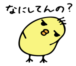 Chick Ojipiyo sticker #8956851