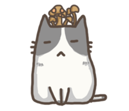 Cat slave diary - Two colors cat sticker #8958037