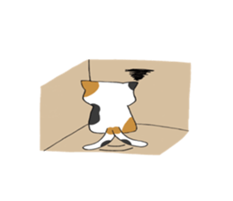 Calico cat brass band sticker #8960472