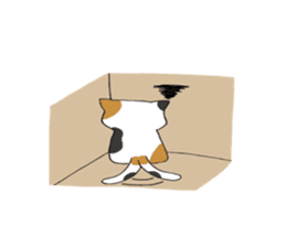 Calico cat brass band sticker #8960472