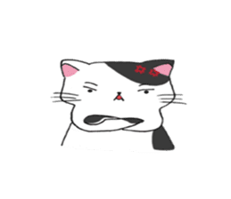 Calico cat brass band sticker #8960480