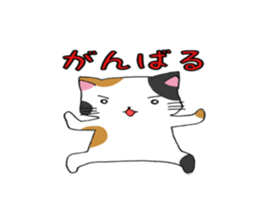 Calico cat brass band sticker #8960497