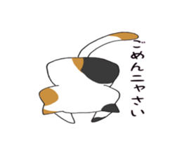 Calico cat brass band sticker #8960499