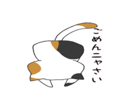 Calico cat brass band sticker #8960499