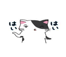 Calico cat brass band sticker #8960502