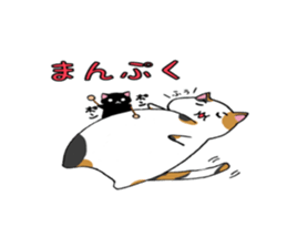 Calico cat brass band sticker #8960511