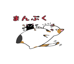 Calico cat brass band sticker #8960511