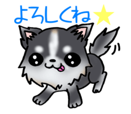 White and black puppy. sticker #8961156