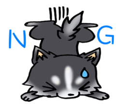 White and black puppy. sticker #8961159