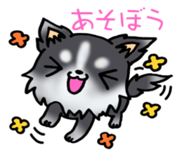 White and black puppy. sticker #8961160