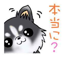 White and black puppy. sticker #8961162