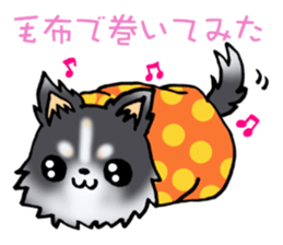 White and black puppy. sticker #8961164