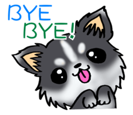 White and black puppy. sticker #8961181