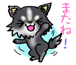 White and black puppy. sticker #8961183