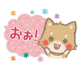mild-fluffy-Shiba-inu-Balloon sticker #8963148