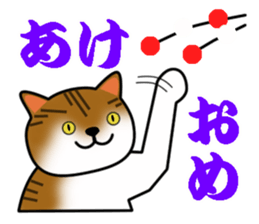 Cat with Happy Day's and Congratulations sticker #8964466