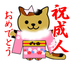 Cat with Happy Day's and Congratulations sticker #8964468