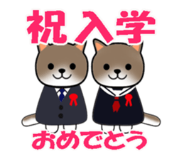 Cat with Happy Day's and Congratulations sticker #8964479