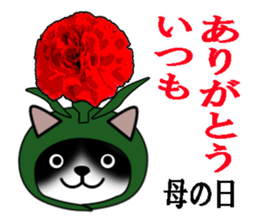 Cat with Happy Day's and Congratulations sticker #8964482