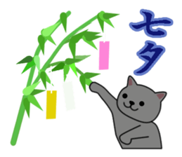 Cat with Happy Day's and Congratulations sticker #8964484