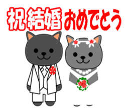 Cat with Happy Day's and Congratulations sticker #8964494
