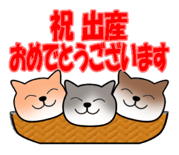 Cat with Happy Day's and Congratulations sticker #8964495