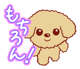 Toy poodle / apricot sticker #8966296