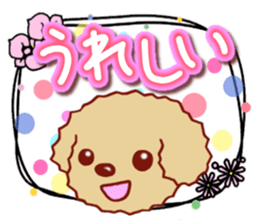 Toy poodle / apricot sticker #8966297