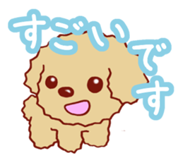 Toy poodle / apricot sticker #8966301