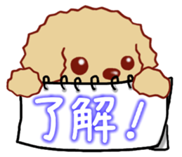 Toy poodle / apricot sticker #8966303