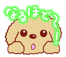 Toy poodle / apricot sticker #8966304