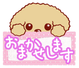 Toy poodle / apricot sticker #8966306