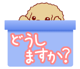 Toy poodle / apricot sticker #8966308