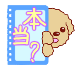 Toy poodle / apricot sticker #8966309