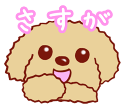 Toy poodle / apricot sticker #8966310