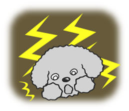 Toy poodle / apricot sticker #8966311