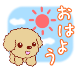 Toy poodle / apricot sticker #8966312
