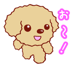 Toy poodle / apricot sticker #8966316