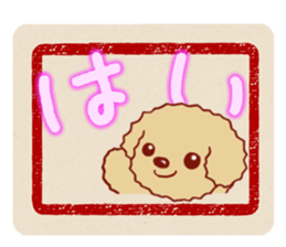 Toy poodle / apricot sticker #8966318