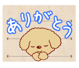 Toy poodle / apricot sticker #8966319