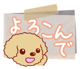 Toy poodle / apricot sticker #8966320