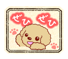 Toy poodle / apricot sticker #8966321