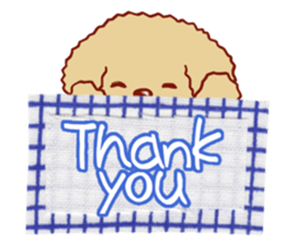 Toy poodle / apricot sticker #8966322